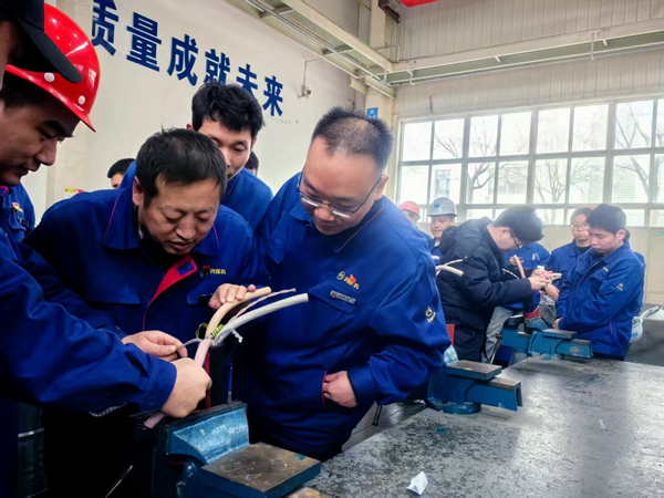 1741771582224795.jpeg 1 (1)_副本.jpg